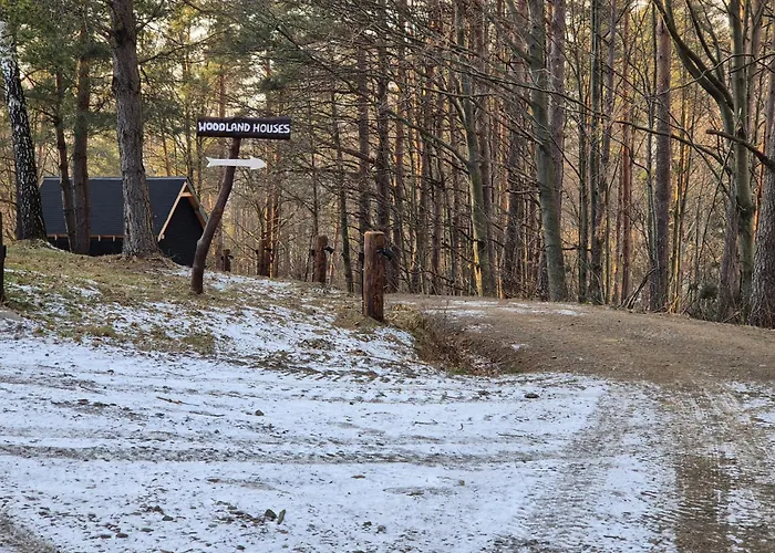 Woodland House 1