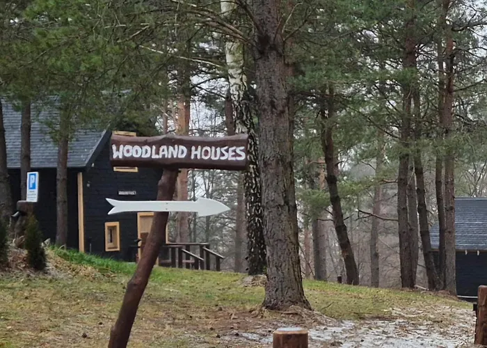 Woodland House 1