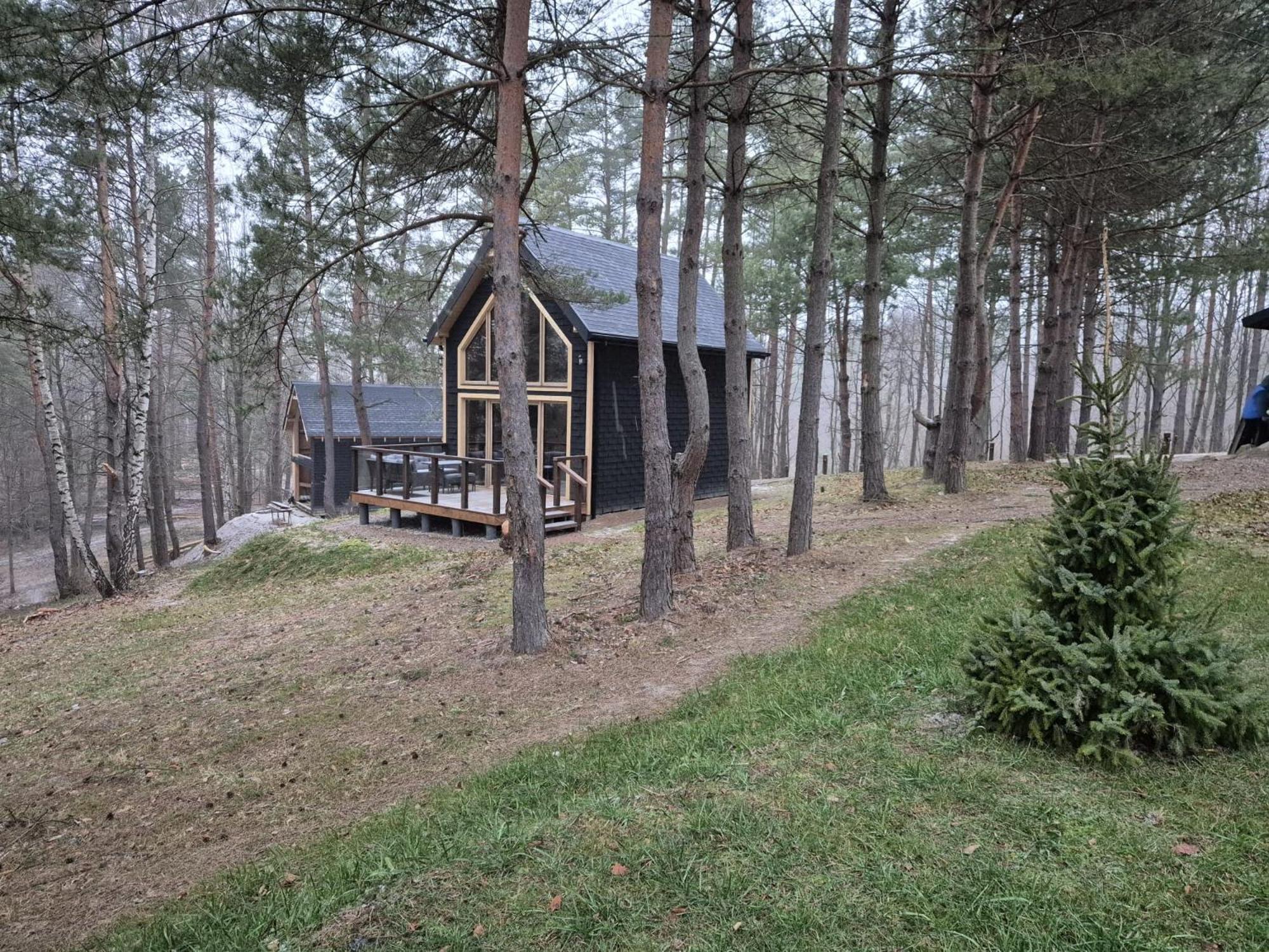Holiday home Woodland House 1 Berezka