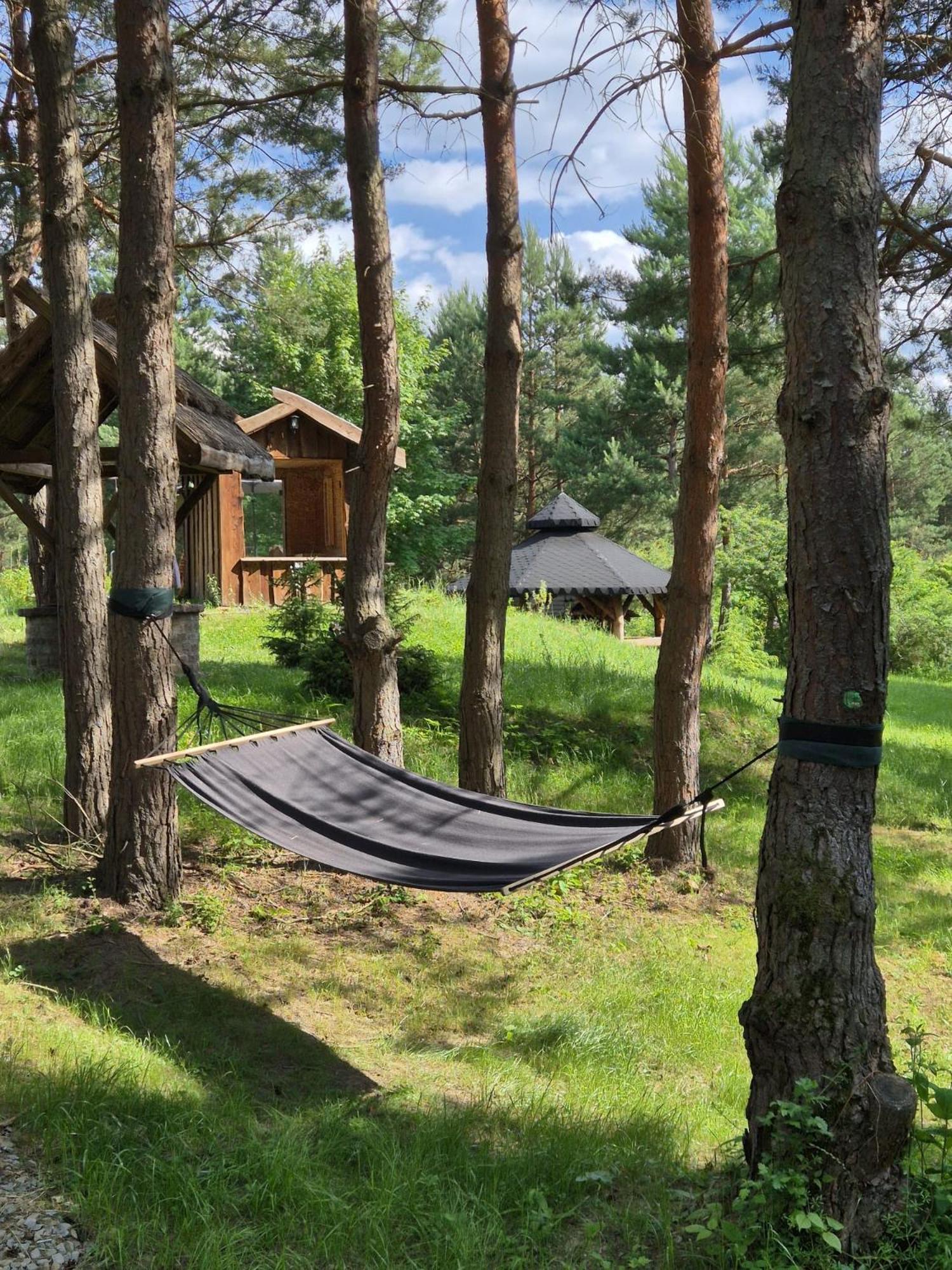 Woodland House 1 * Berezka
