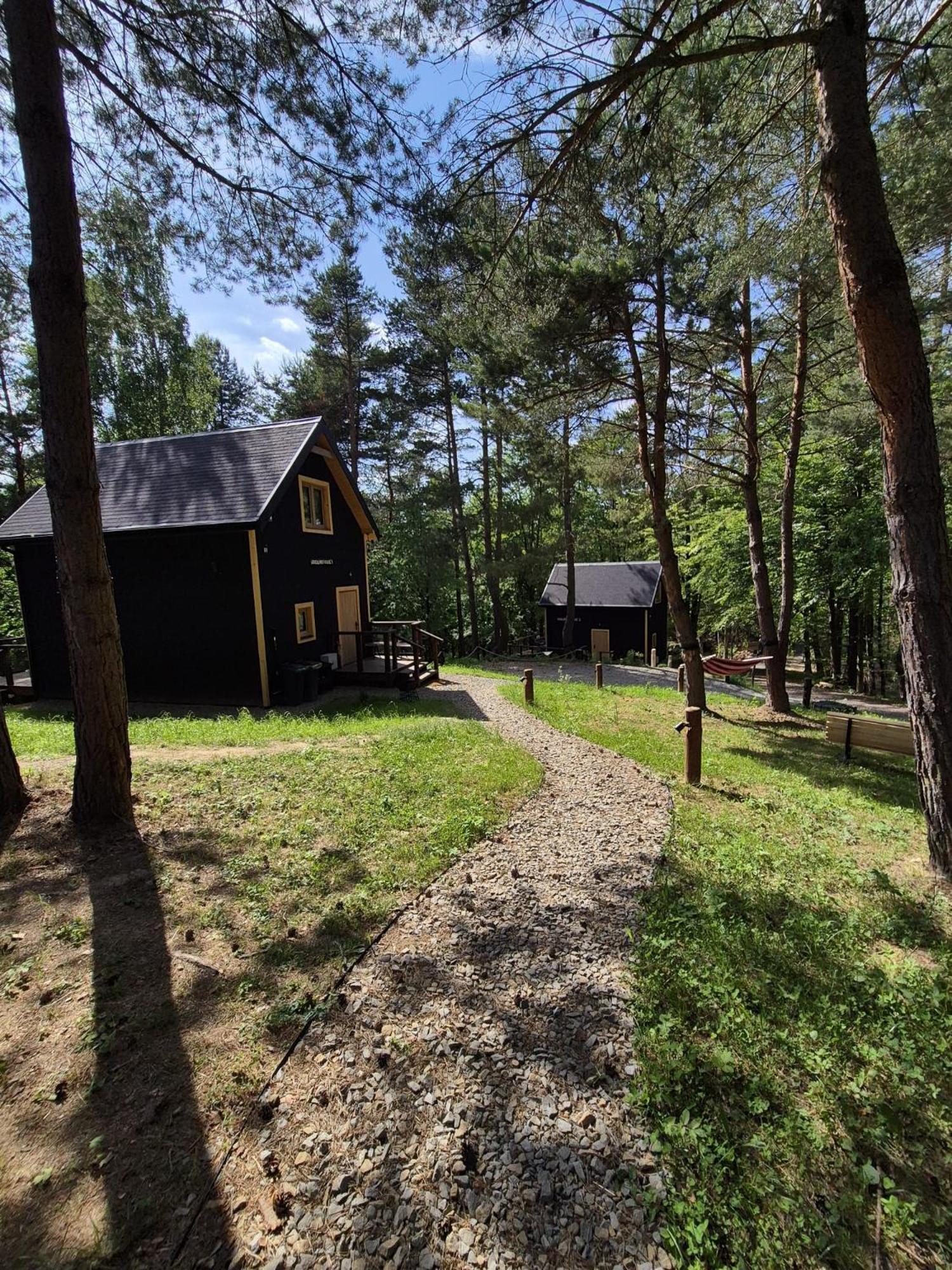 Woodland House 1 Dom wakacyjny *