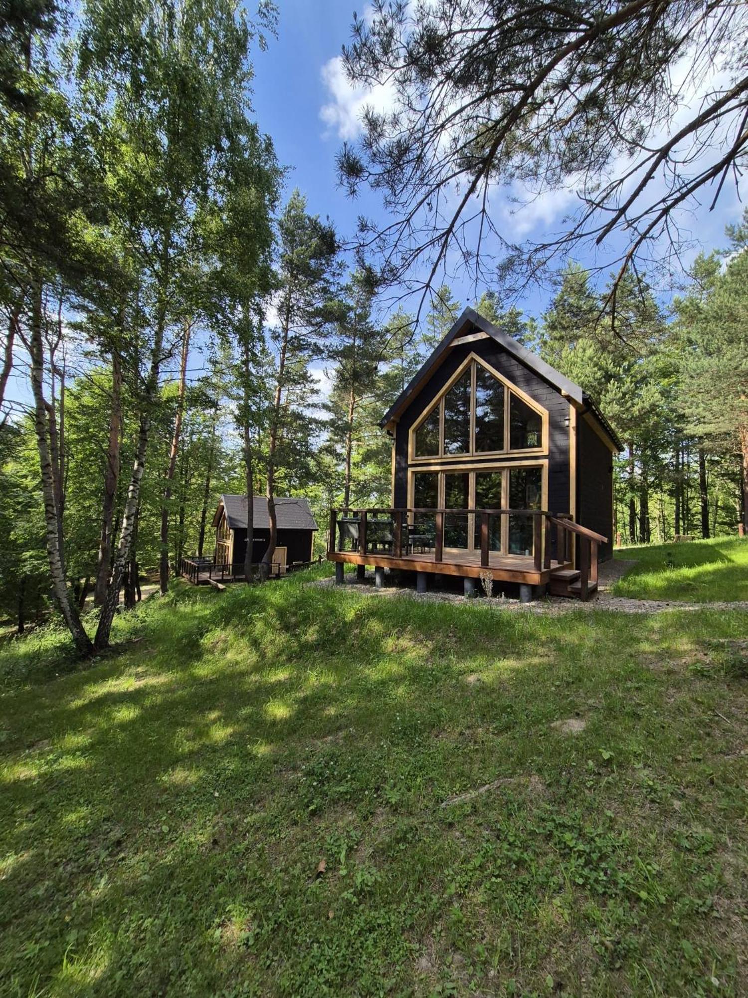 Dom wakacyjny Woodland House 1